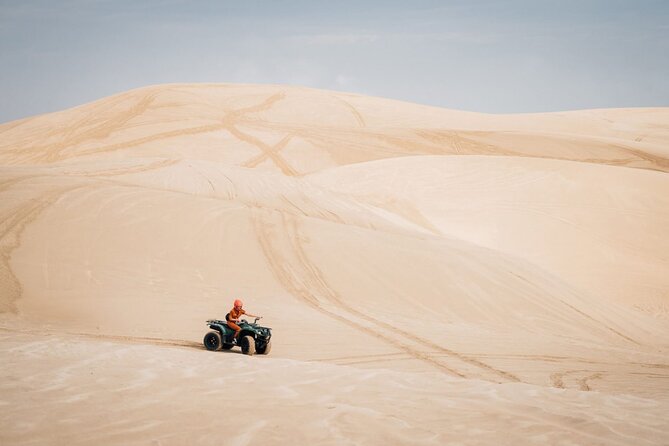 Doha-Night Desert Safari with Sand Board and Camel Ride - Price of $80 and Value for a Private Desert Night