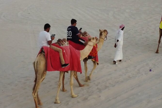 Doha-Night Desert Safari with Sand Board and Camel Ride - Who Should Book This Safari, and Who Might Sit It Out