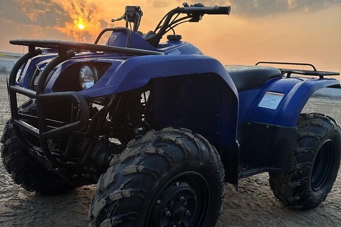 Doha-Night Desert Safari with Sand Board and Camel Ride - Dune Bashing in 4x4, What to Expect and How to Stay Comfortable