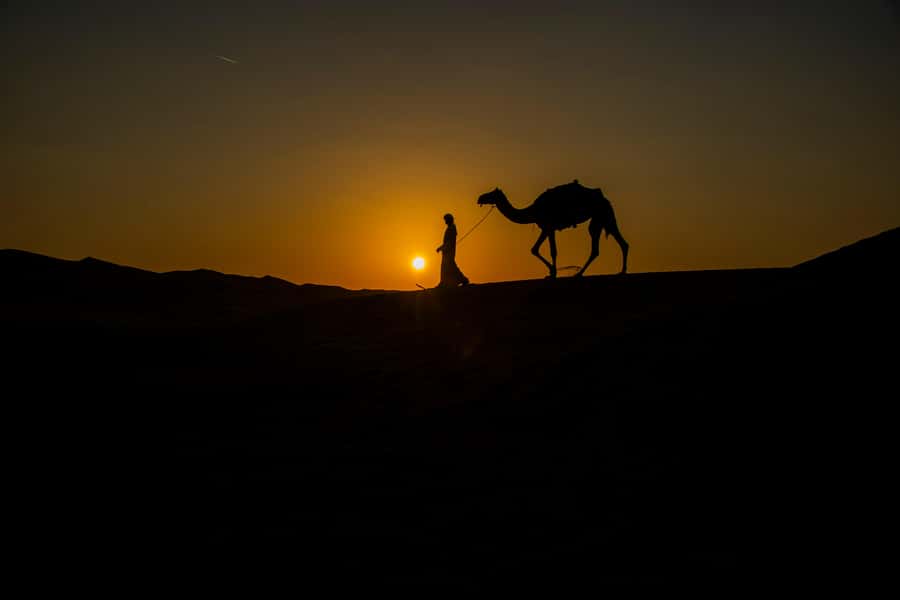 Doha: Night Desert Safari With Stargazing and Inland Sea - Why this 4-hour Doha desert plan feels like a full night out