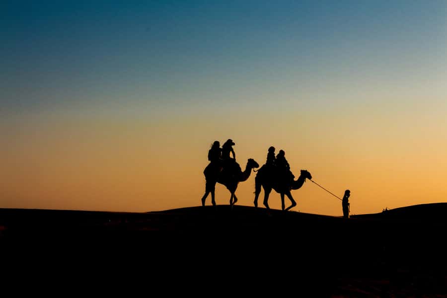 Doha: Night Desert Safari With Stargazing and Inland Sea - Sealine start: tire deflation, Bedouin tents, camels, and falcons