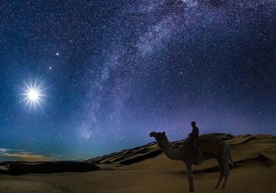 Doha: Night Desert Safari with Stargazing & Camel Ride - Key things to know