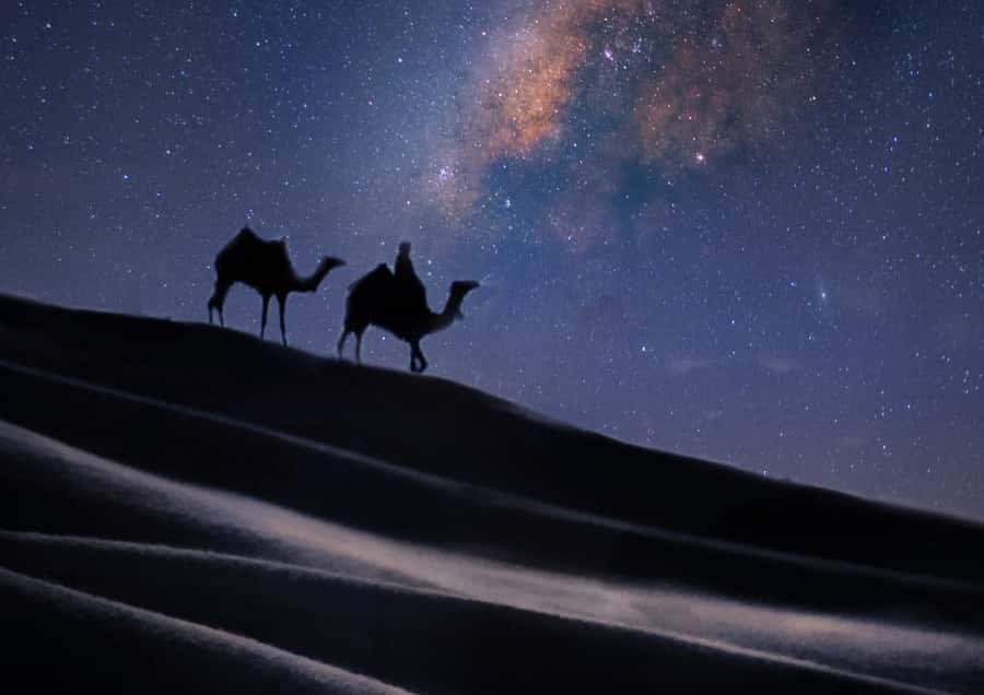 Doha: Night Desert Safari with Stargazing & Camel Ride - Inland Sea Dune Bashing: The Adrenaline Section