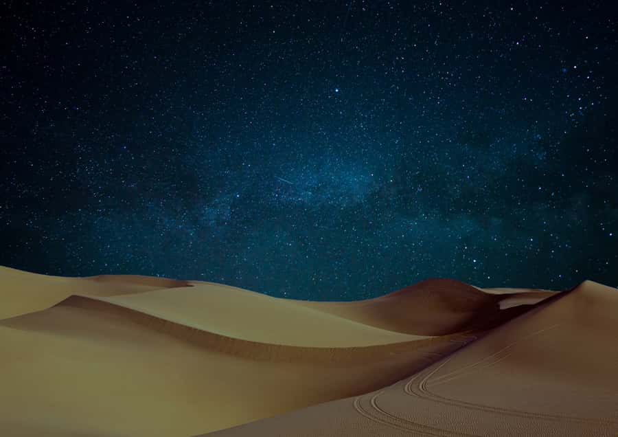 Doha: Night Desert Safari with Stargazing & Camel Ride - Culture and Hospitality Without the Lecture