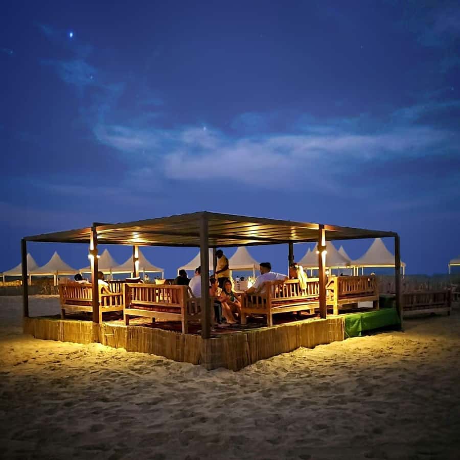 Doha: Night DesertSafari DuneBashing Sandboarding CamelRide - Key highlights worth getting excited about