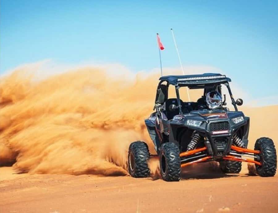 Doha: Night Inland Sea Desert Safari with Full Activities - The Short Camel Ride: A Pace Reset