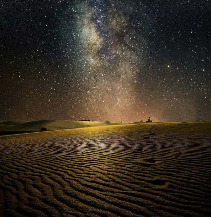 Doha: Night Safari with Dune Bashing and Camel Ride - Camel ride at sunset: the quieter side of the desert