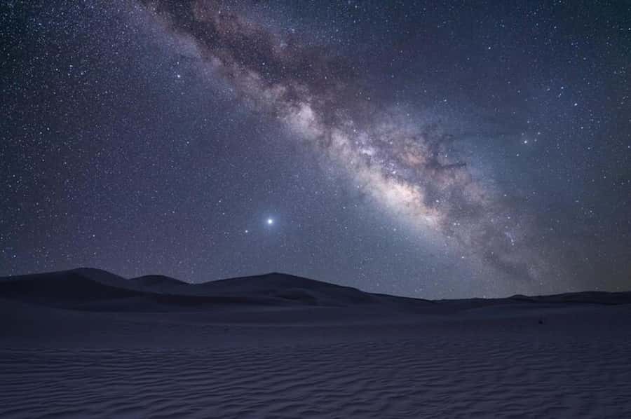 Doha: Night Safari with Dune Bashing and Camel Ride - Who this safari suits best, and who should skip it
