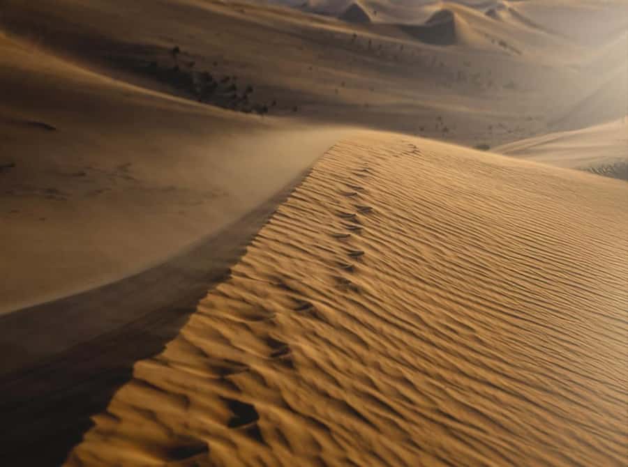 Doha: Nighttime Desert Safari with Dune Bashing & Camel Ride - Camel ride and sandboarding: what you should double-check