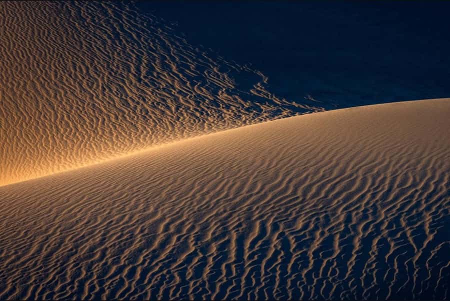 Doha: Nighttime Desert Safari with Dune Bashing & Camel Ride - Price and value: is $24 per person a good deal?