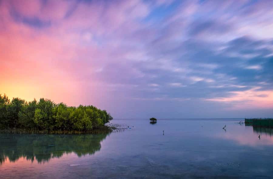 Doha North Qatar Tour Zubara Fort, Mangroves, Jumail Village - Why North Qatar hits differently than staying in Doha
