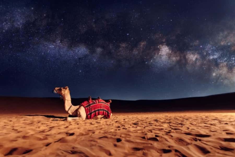 Doha: Private Desert Safari at Night with Stargazing - Doha to the desert: how the 4x4 ride sets the tone