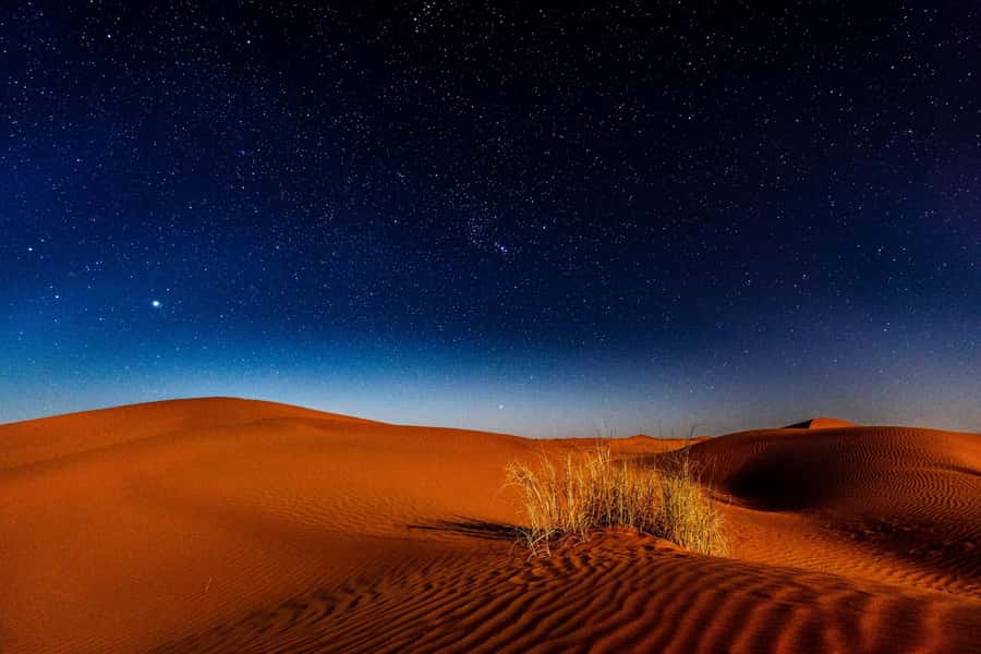 Doha: Private Desert Safari at Night with Stargazing - Inland Sea dune bashing: where the thrill is real