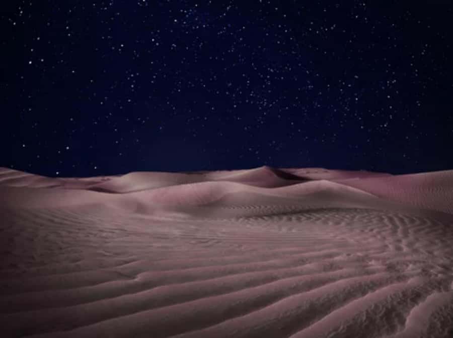 Doha: Private Desert Safari at Night with Stargazing - Sandboarding under the stars: the included activity that makes it fun