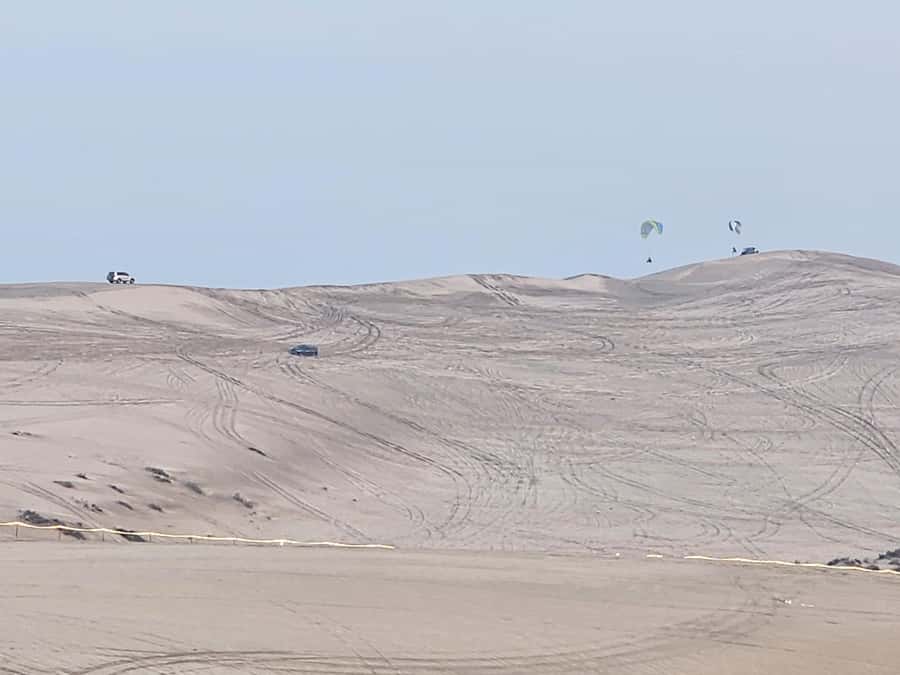 Doha:Private Desert Safari, Falcon, Sandboarding,inland sea - Falcon Pictures: The Photo Moment That Makes the Day Memorable
