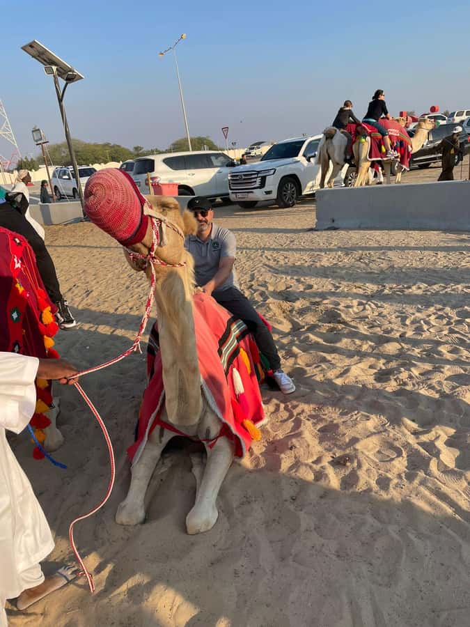 Doha Private Desert Safari, inland sea, sand boarding - Safety and Who Should Skip This One