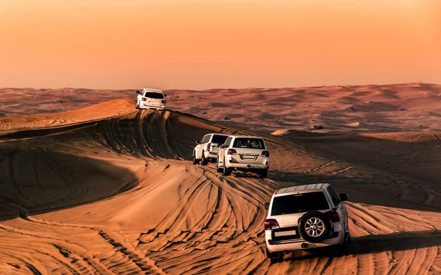 Doha : Private Desert Safari With Camel Ride & Sand Boarding - What to Bring for a Comfortable Desert Session