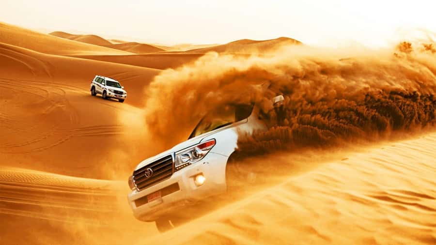 Doha : Private Desert Safari With Camel Ride & Sand Boarding - Should You Book This Private Desert Safari in Doha?