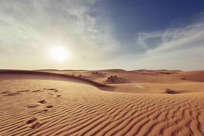 Doha Private Half-Day Guided Desert Safari Tour - Time-Saver in a Good Way, Not a Half Job