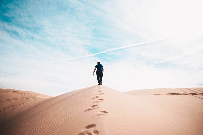 Doha Private Half-Day Guided Desert Safari Tour - Who This Safari Fits Best (And Who Might Want a Different Style)