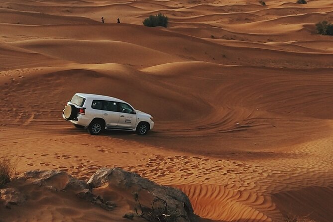 Doha Private Half-Day Guided Desert Safari Tour - Sealine Beach Stop: Camels, Falcon Moments, Tea, and the Dune Rush