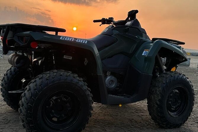 Doha-Private half day safari Sunrise/Sunset - Who This Safari Suits Best (and Who Should Rethink)