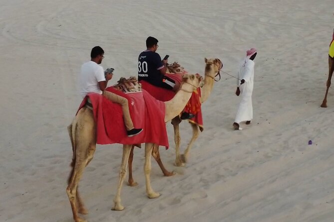 Doha-Private Half Day Safari with Horse Ride/Camel Ride/sandboard - Mesaieed: where the riding actually starts