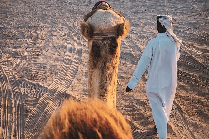 Doha-Private Half Day Safari with Horse Ride/Camel Ride/sandboard - Camel ride time: short, but part of the real deal