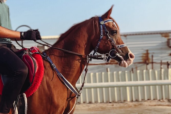 Doha-Private Half Day Safari with Horse Ride/Camel Ride/sandboard - Getting picked up and pushed into the dunes fast