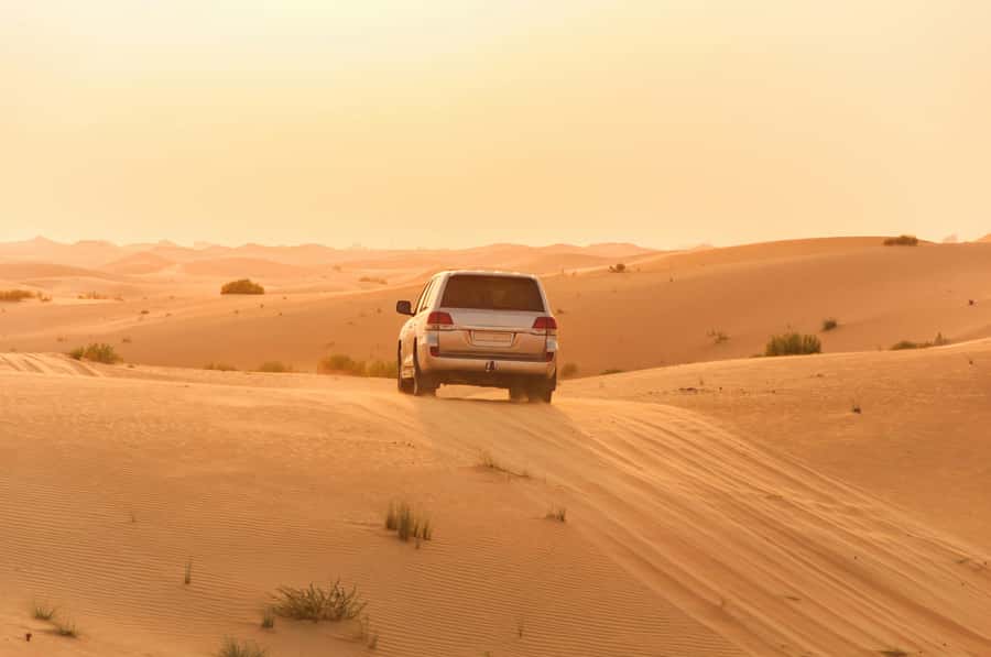 Doha: Private NIGHT desert safari with free camel ride - Stargazing Deep in the Desert: Lying Back on Dune Beds