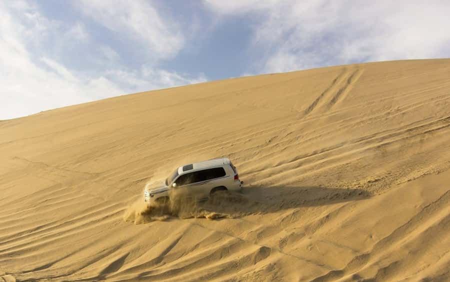 Doha: Private NIGHT desert safari with free camel ride - Guides Like Shabab and Mohammad Make or Break the Evening