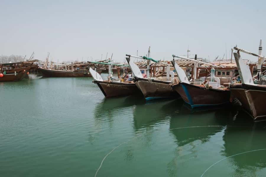 Doha : Private North of Qatar Tour, Zubara Fort & Mangroves - Purple Island and Al Thakira Mangroves: Where the Coast Gets Interesting