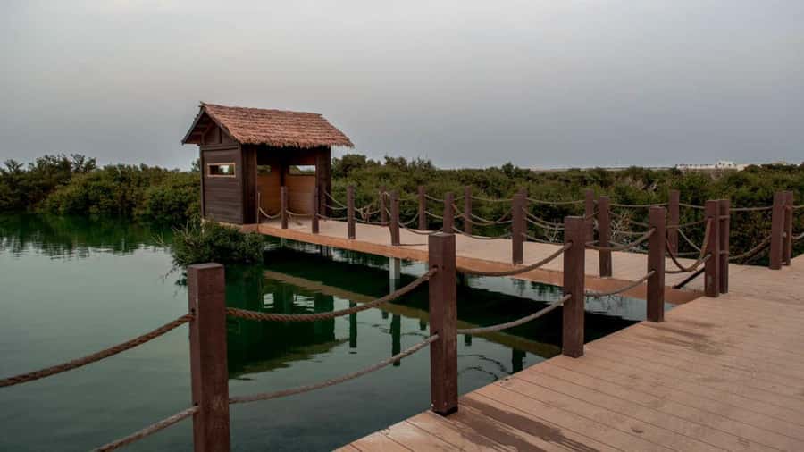 Doha : Private North of Qatar Tour, Zubara Fort & Mangroves - Al Zubara Fort: UNESCO Archaeology With a Clear Guided Payoff