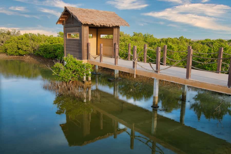 Doha : Private North of Qatar Tour, Zubara Fort & Mangroves - The Guide Makes It Click Faster, Especially When Answers Are Instant