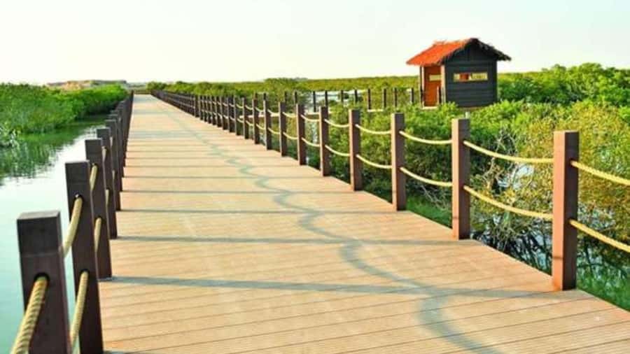 Doha : Private North of Qatar Tour, Zubara Fort & Mangroves - How to Plan Your Day so Stops Feel Worth It