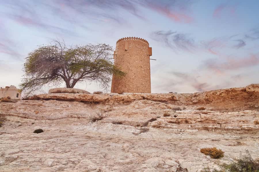 Doha : Private North of Qatar Tour, Zubara Fort & Mangroves - The Smooth, Simple Logistics That Keep the Day Comfortable