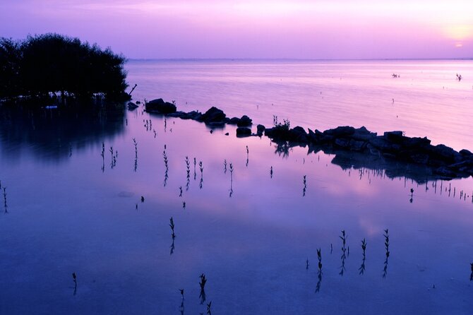 Doha Private North Qatar Tour, Mangroves and Al Zubarah Fort - North Qatar in a Half-Day: Starting at Al Khor