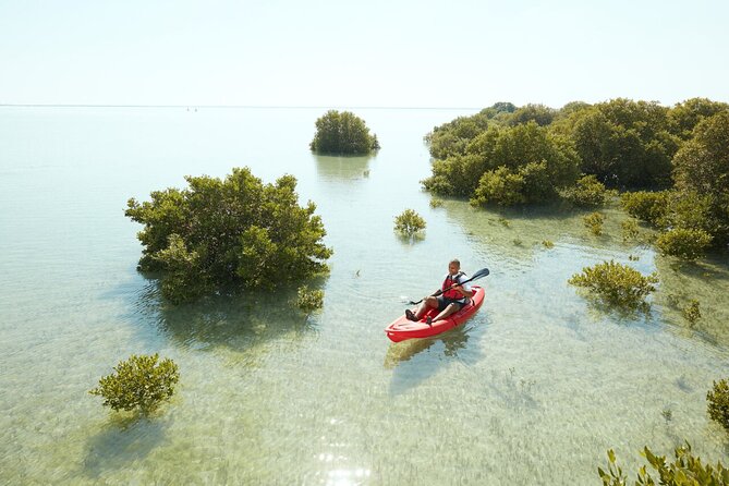 Doha Private North Qatar Tour, Mangroves and Al Zubarah Fort - Al Zubarah Fort: UNESCO Fortress Architecture and Village Traces