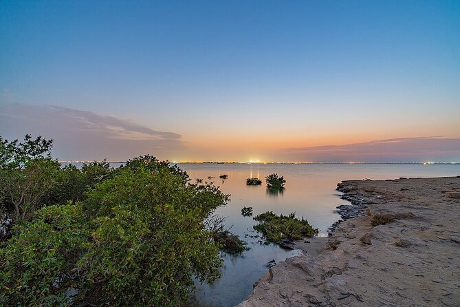 Doha Private North Qatar Tour, Mangroves and Al Zubarah Fort - Al Thakhira Beach Walk: An Easy, Worth-It Coast Stop