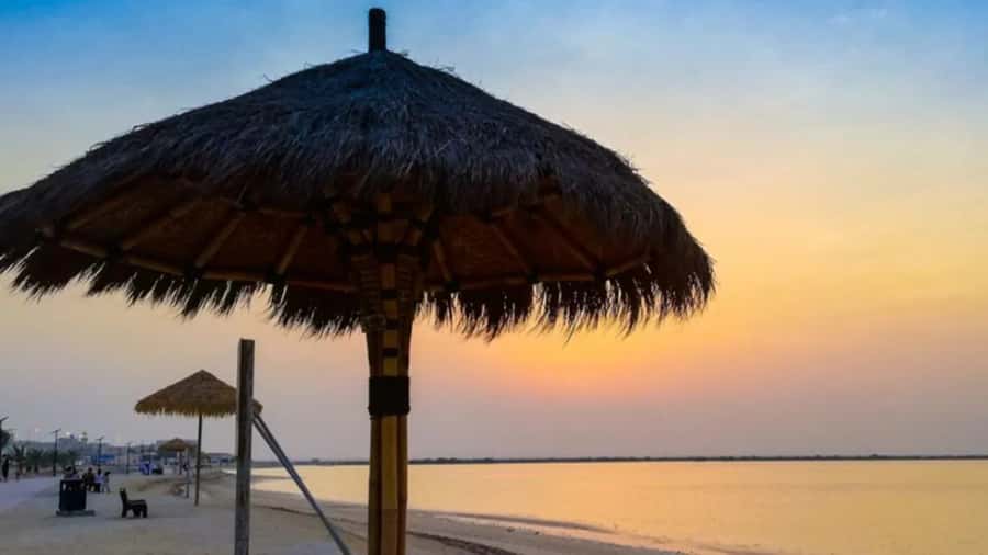 Doha: Private North Qatar Tour, Mangroves, & Zubara Fort - Key highlights worth getting excited about