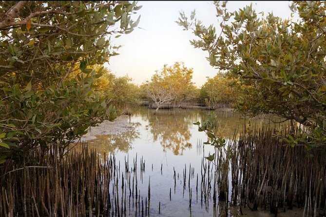 Doha Private North Tour Zubara Fort Purple Island & Mangrove - Price and value: what $69.30 buys you