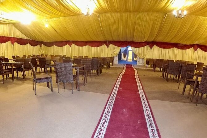 Doha Private Overnight Desert Safari - Why a Private Overnight Safari From Doha Is Worth Your Time