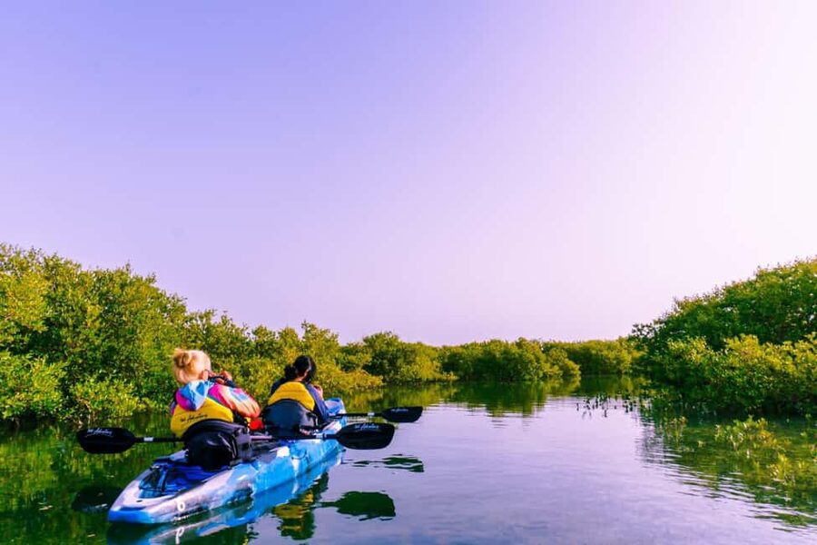 Doha: Private Purple Island Mangroves Kayaking Adventure - Al Thakira mangroves: why this feels so different from Doha