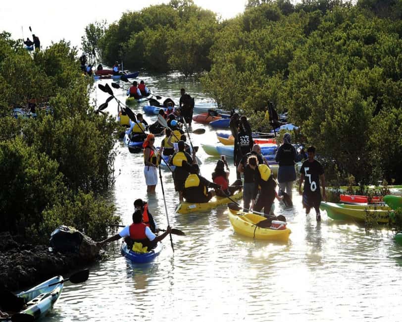Doha: Private Purple Island Mangroves Kayaking Adventure - Sunset kayaking: stunning views, plus timing that can shift