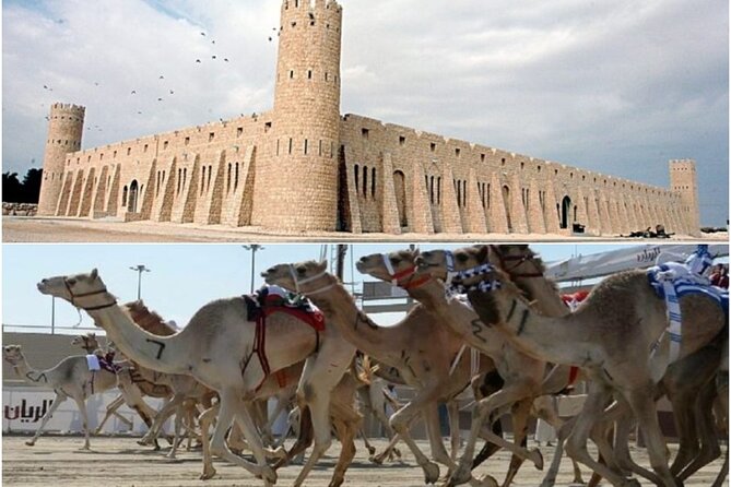 Doha, Qatar: Came Racing Track, Oryx & Sheikh Faisal Museum Tour. - Stadium Architecture: Education City Stadium and Ahmad Bin Ali