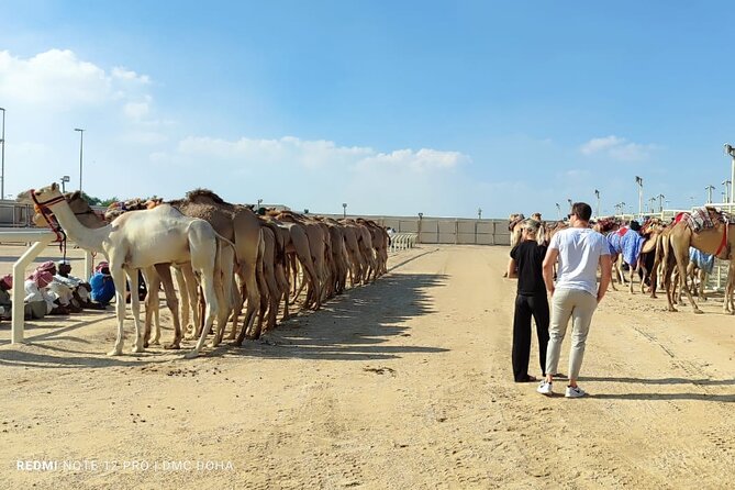 Doha, Qatar: Came Racing Track, Oryx & Sheikh Faisal Museum Tour. - Price and Value: Is $120 Worth It?