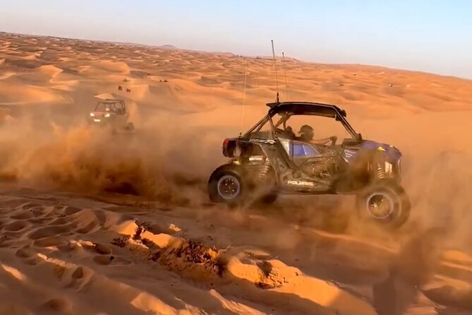 Doha, Qatar: Desert Safari, Inland sea and Camel Ride Adventure. - What you might miss if you go with the wrong expectations