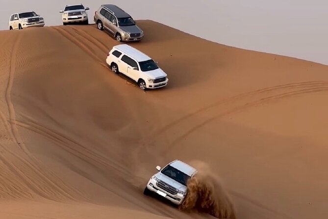 Doha, Qatar: Doha Desert Safari & City - Full Day Private Tour. - Price and what you actually get for $133.25