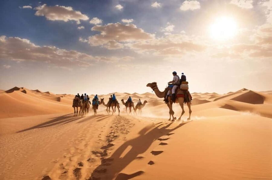Doha Qatar : sealine adventure Camel Ride sandboard Sunset - The value of a 4-hour desert run from Doha