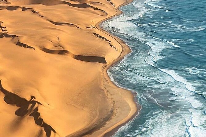 Doha Quad Bike, Dune Bashing, Camel Ride and Inland Sea Tour - Key highlights you should know